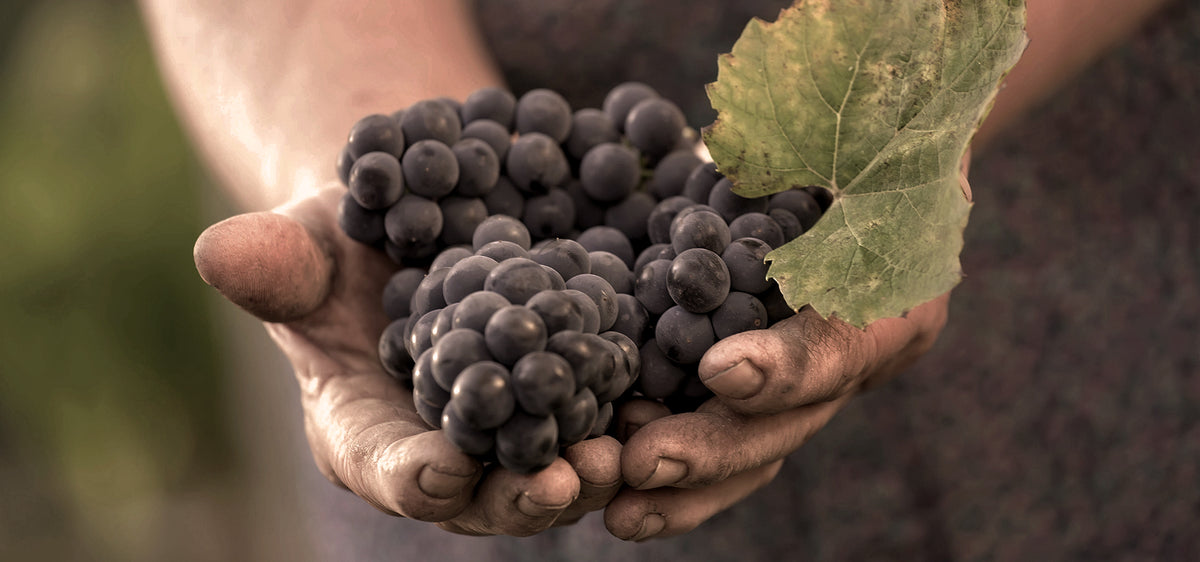 O respeito pela natureza.